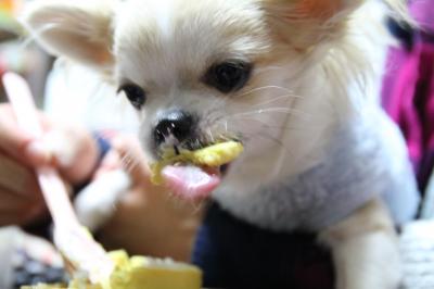 ケーキ大好き