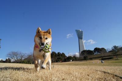 青空最高。