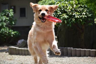 遊んでもらって幸せー！！！