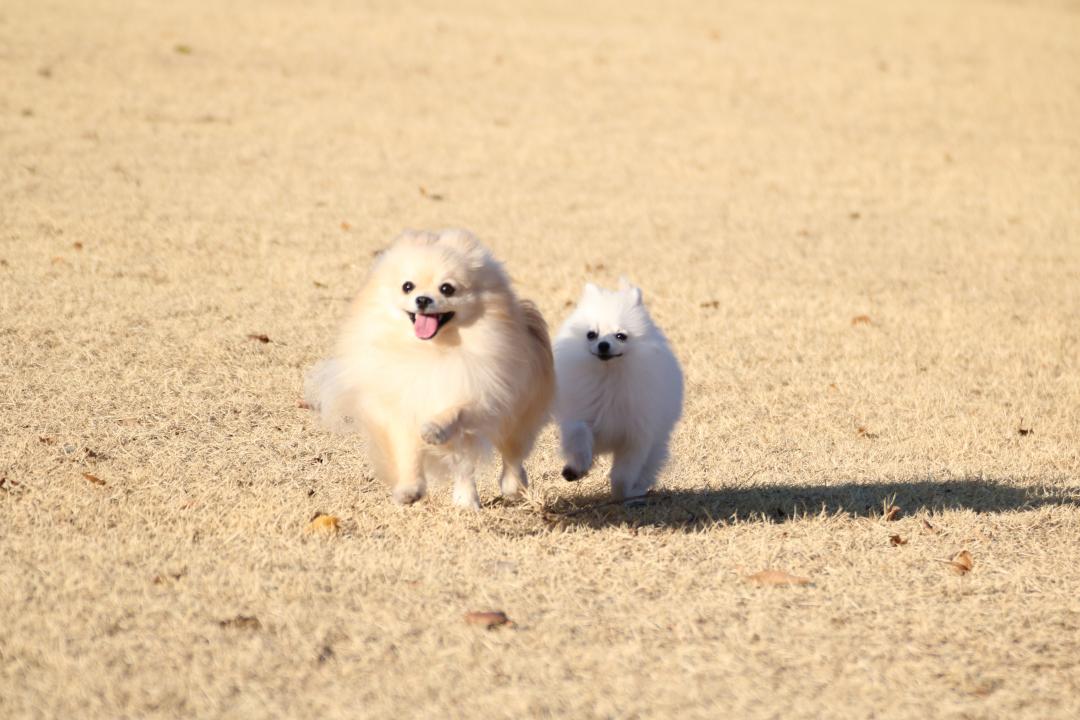 幸せ～♪