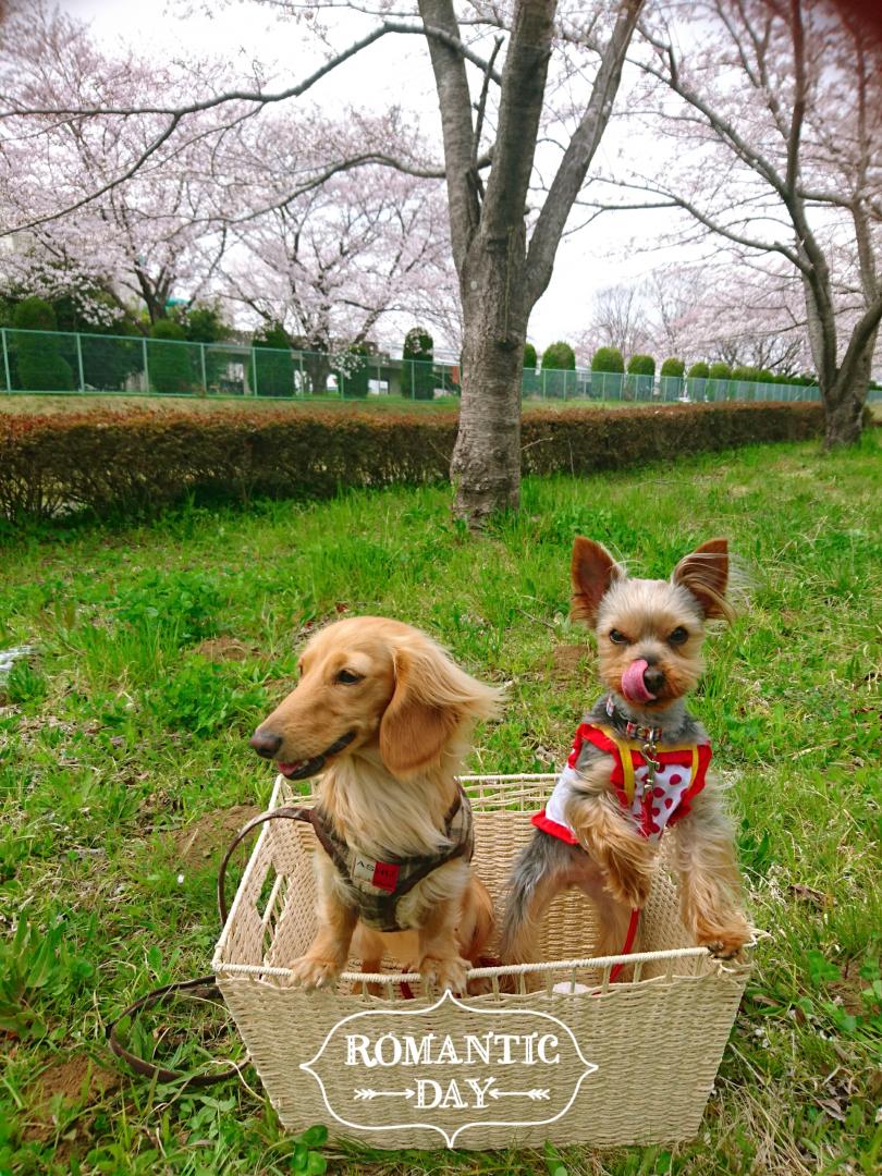 友達と一緒で楽し～～！！