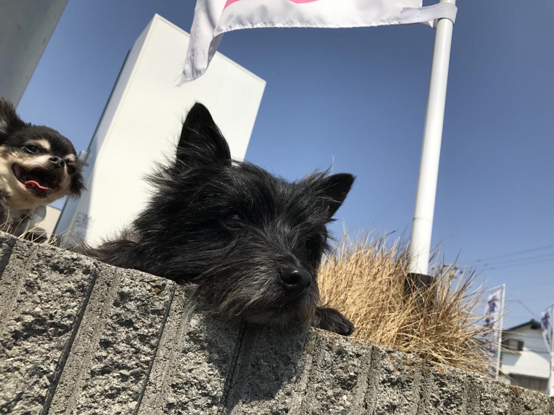 これからチクンだけど。。。