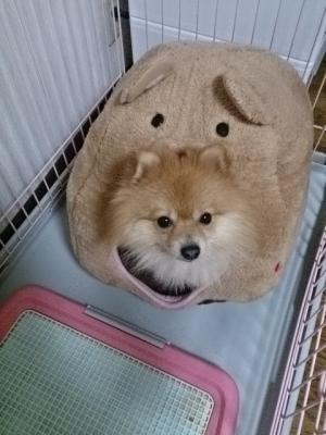 自分の部屋でまったり