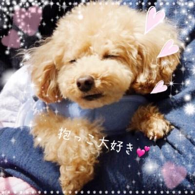 抱っこ大好き