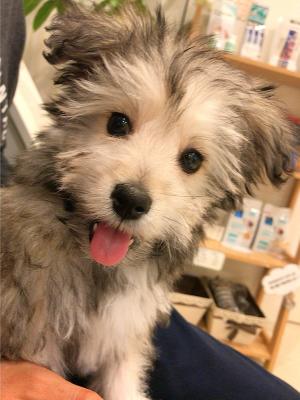 ねえねえ！遊んでくれる？