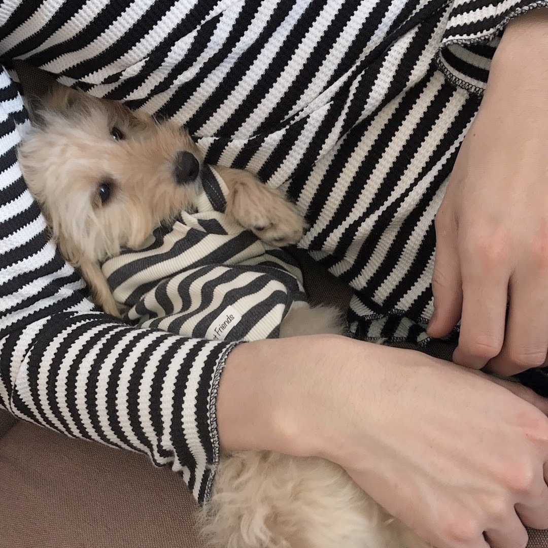 ペアルック（おまめの母さんの投稿写真） | 犬・愛犬フォトコンテスト イヌトミィ