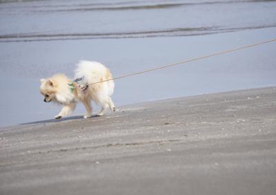 海水まだつめたいかな～？