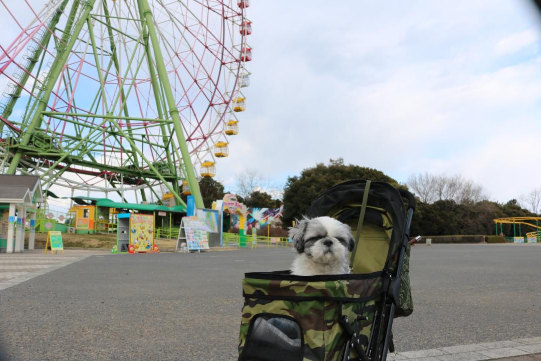 旅のおもいで