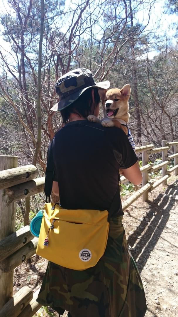 はじめての旅行だよ