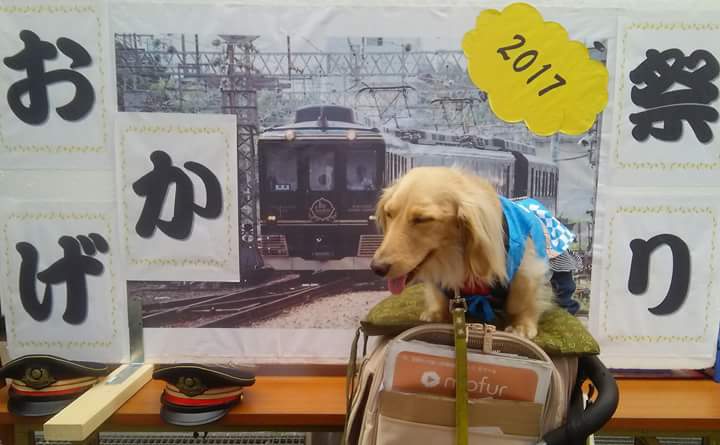 いい顔！
