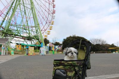 旅のおもいで