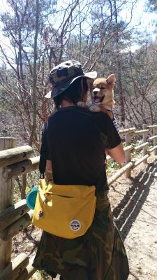 はじめての旅行だよ