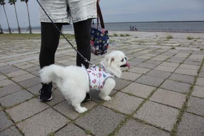 初めて海を見た