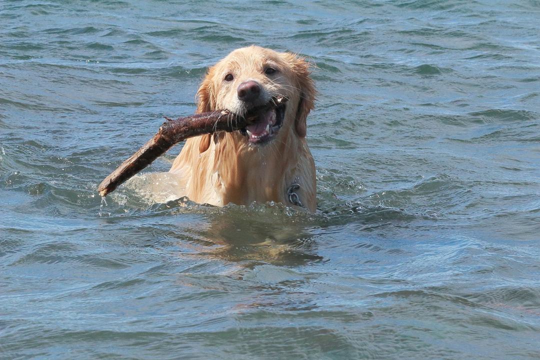 夏は海だぜ～～