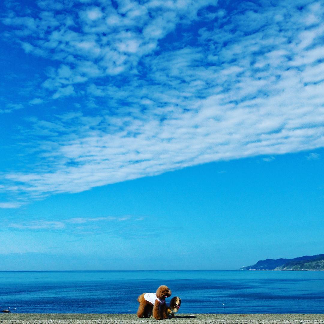 海と空