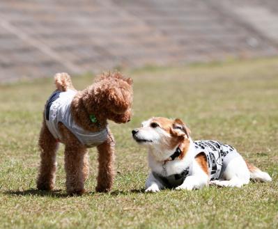 おしゃべり♪