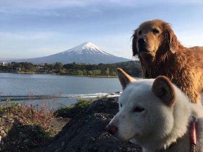 日本一の富士山と久＆トニー