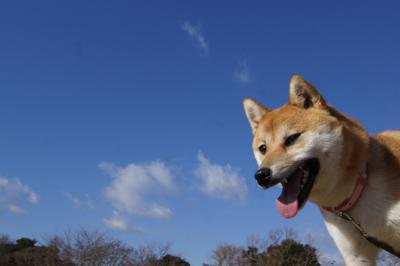 夏空最高