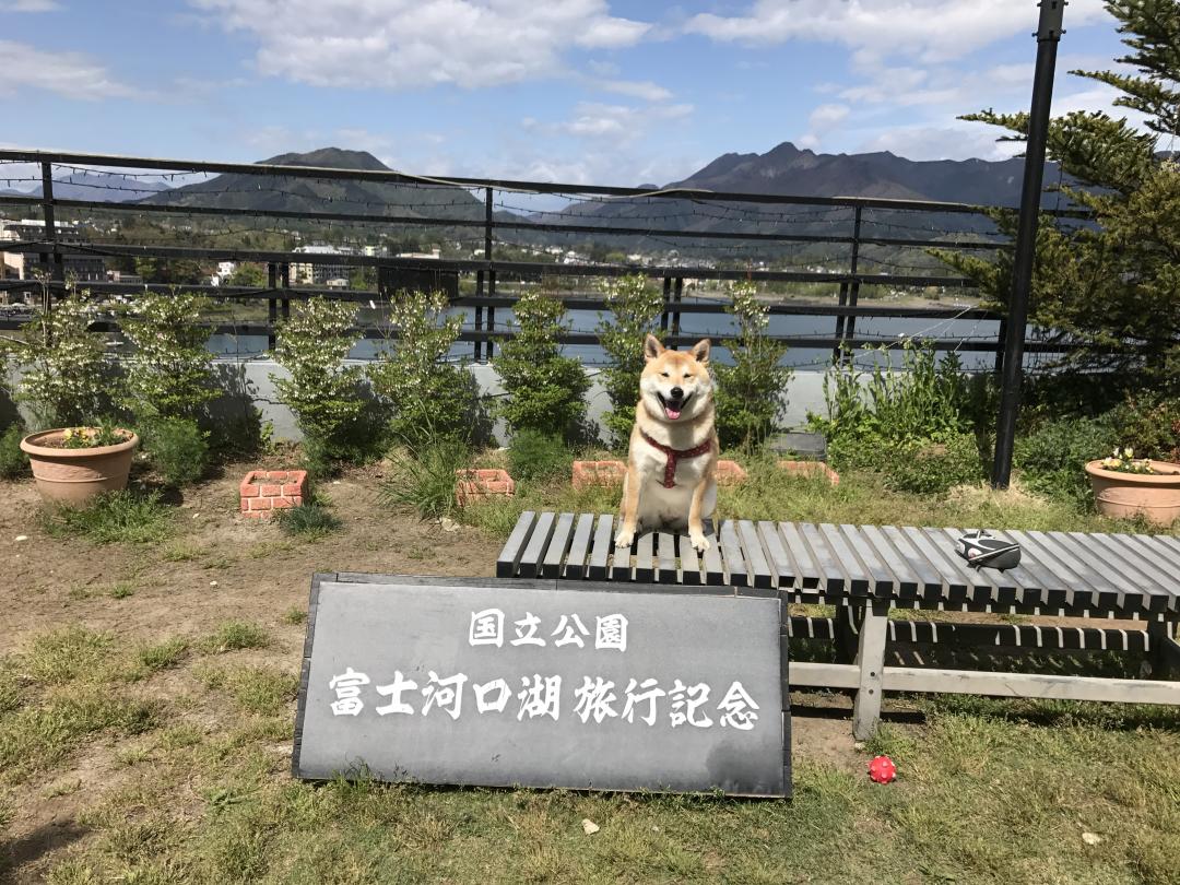 ゴールデンウィークの旅
