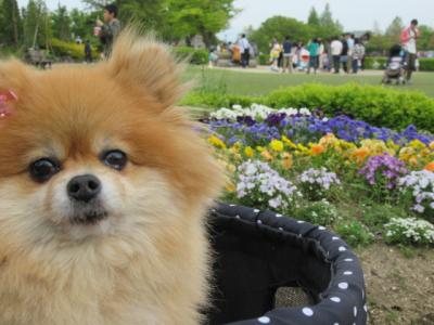 高岡おとぎの森公園