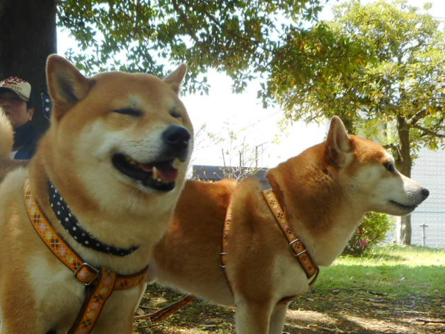 森林公園へ