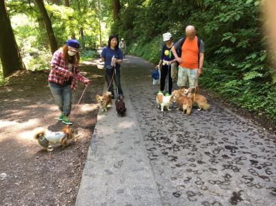 親子チワワで山登り