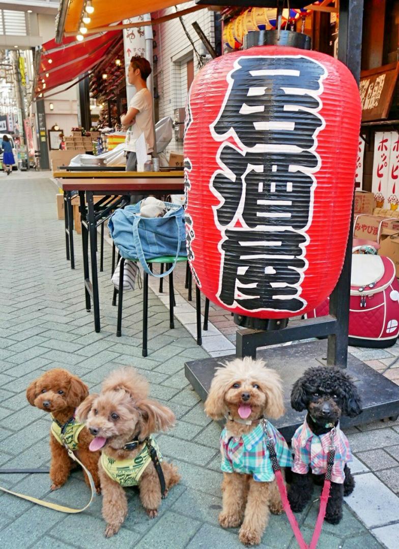 居酒屋行ったよ(*￣∇￣)ノ