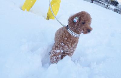 初めての雪遊び⁉