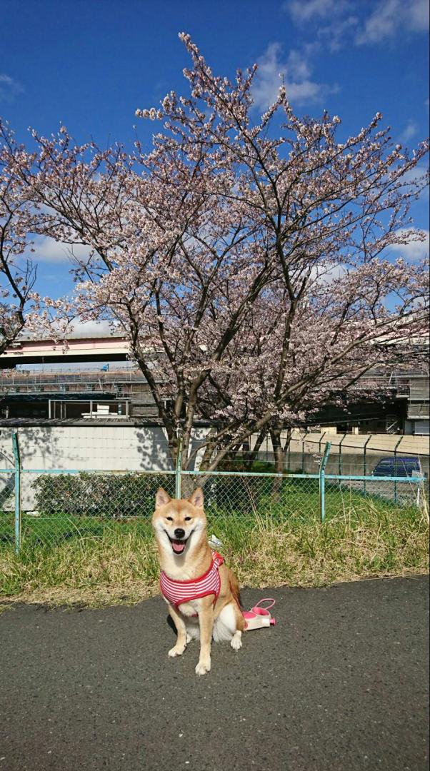 和