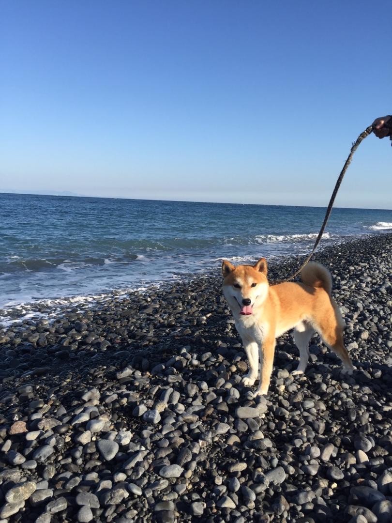 青空と海とやまと