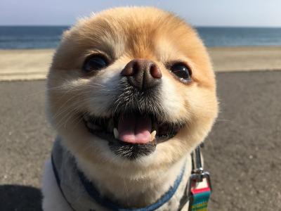 海の風最高～！