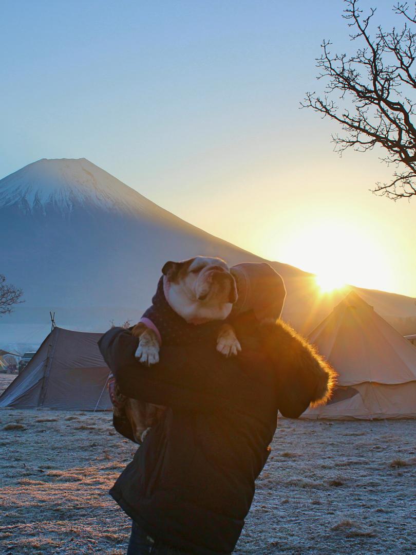 寒かったけど初日の出が綺麗だったよ