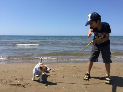 初めての海