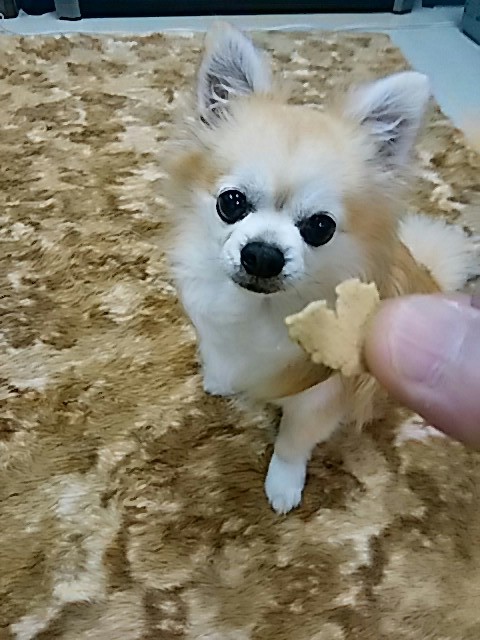 鉄の鋭い目