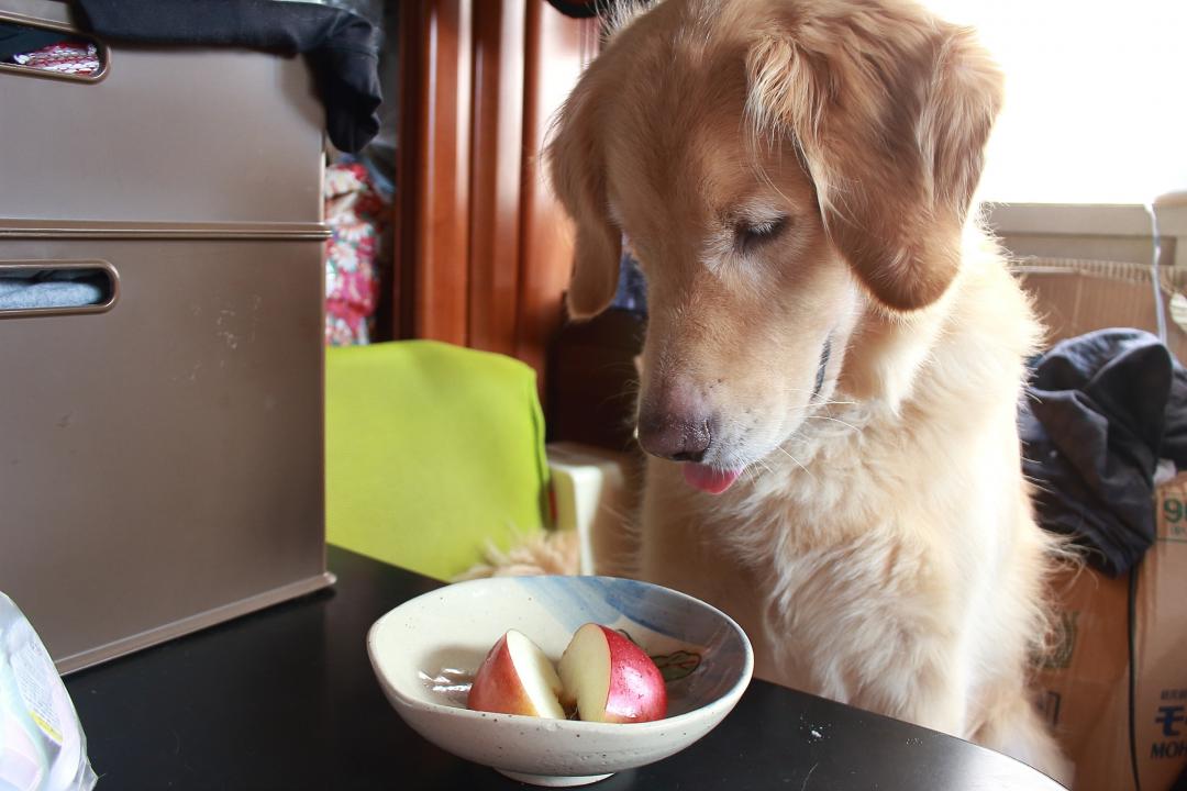 もう食べてもいい？