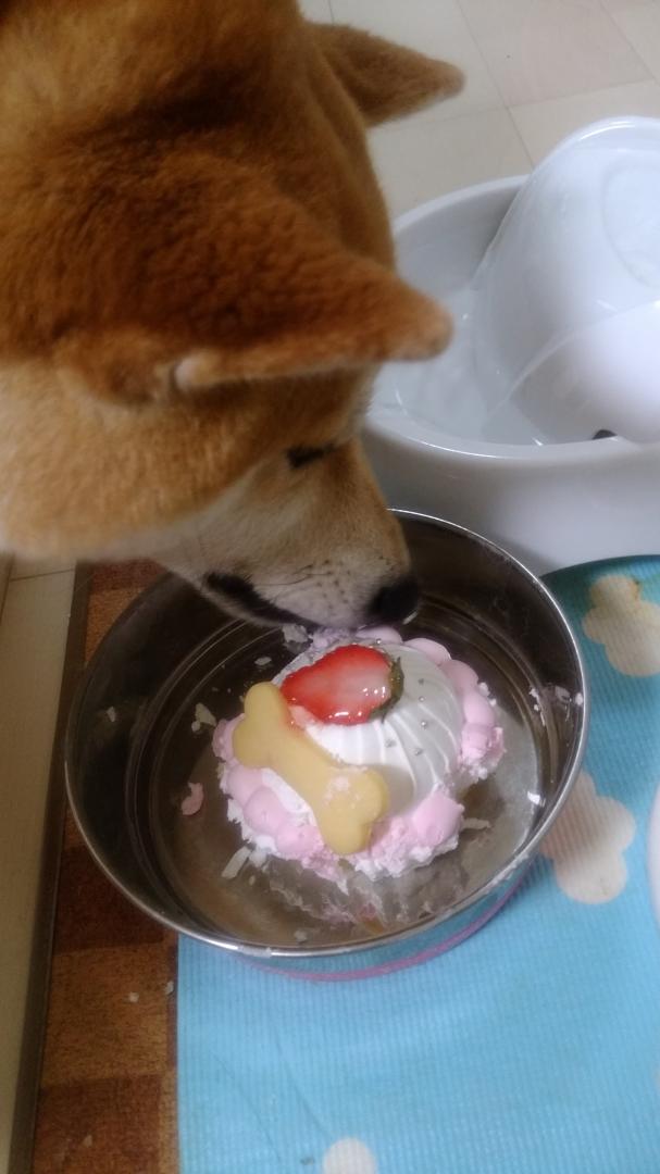 誕生日ケーキ