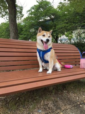 お気に入りの公園にてちょっと一休み❤