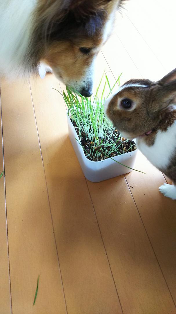 一緒に食べよ！