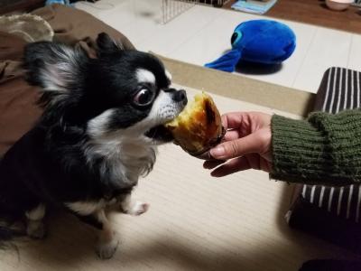 いも・イモ・焼き芋