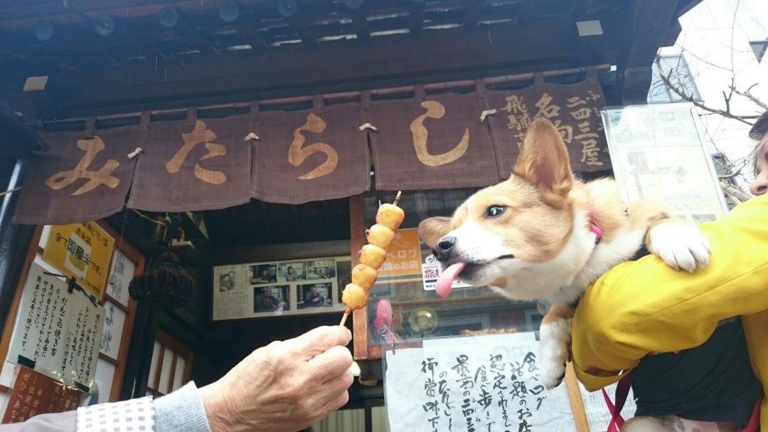 みたらし団子🍡た・た・・食べたい