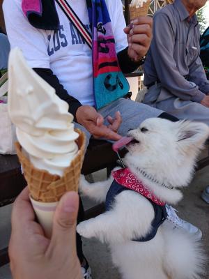 ソフトクリームもっと食べたい！