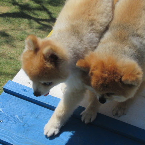 僕がついてるよ