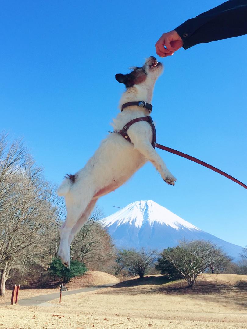 富士山超え