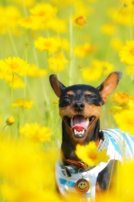 お花畑でご機嫌♪