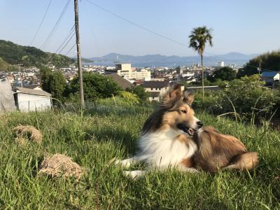 広島散歩途中の1枚瀬戸内海をバックに