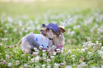 お花に囲まれて