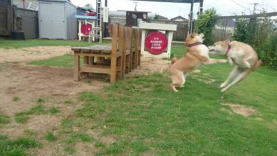 とうっ！