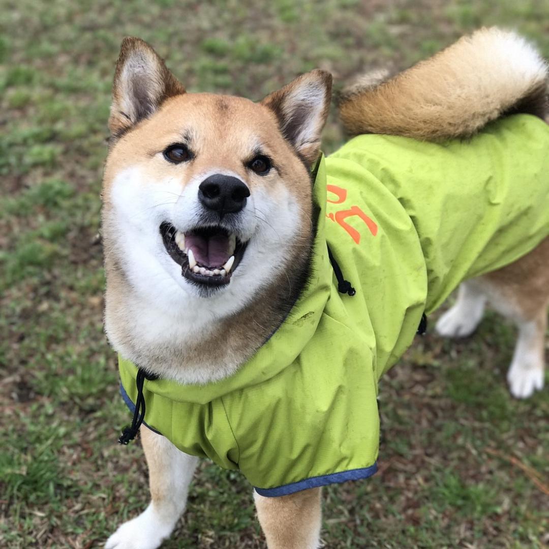 雨にも負けず笑顔でお散歩