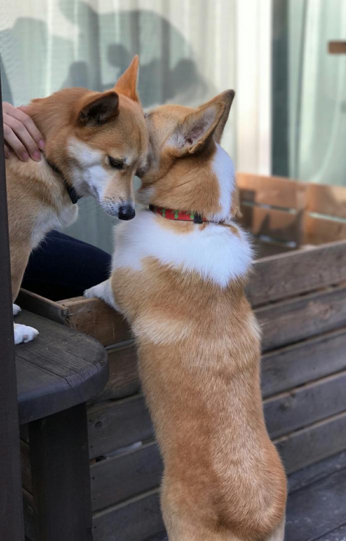 さっきおやつを食べたのは、ナイショ！ナイショ！