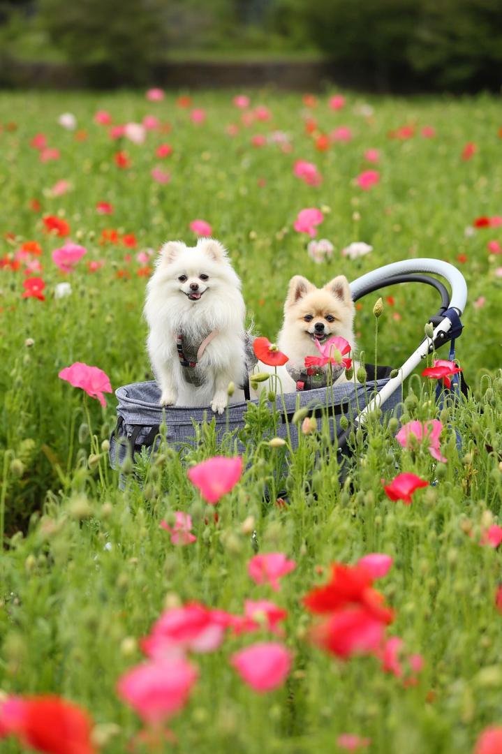 花の都公園にて^ ^